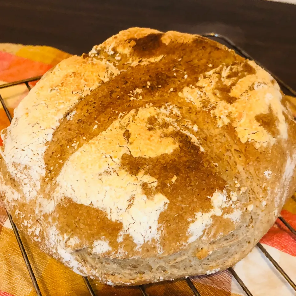 ライブレッド🥯🍞🥐|ゴンさん