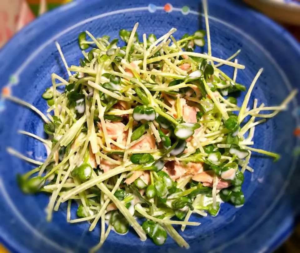 心に七つの傷の男さんの料理 カイワレとツナのサラダ|オレンジチョコさん