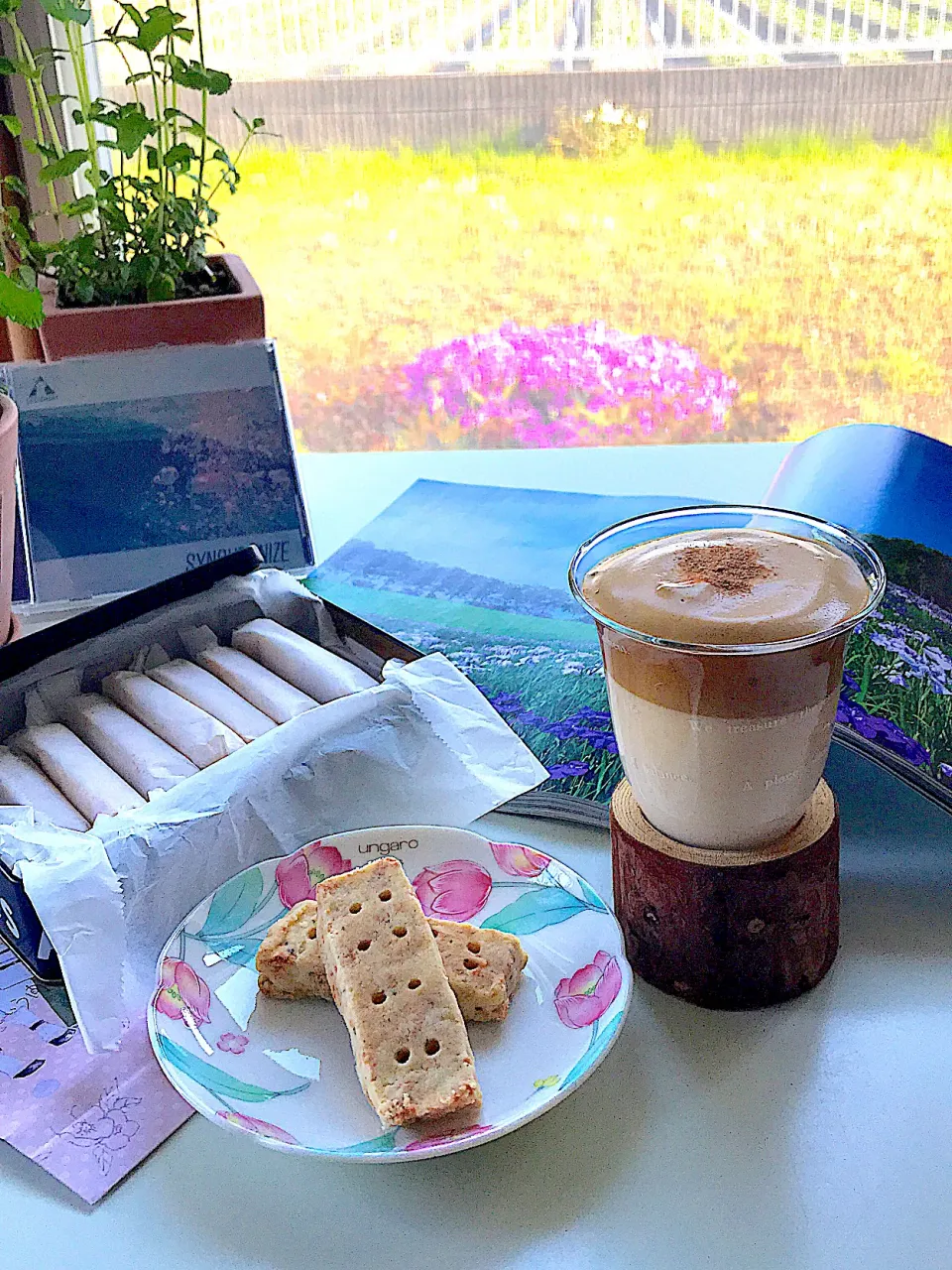 シュトママ手作りお菓子とタルゴナコーヒーでティータイム📖🎶|サミカさん