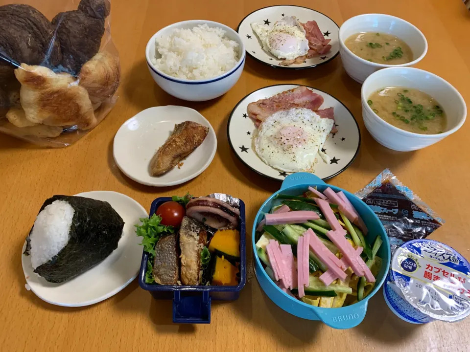 今日のお弁当♡2020.4.15.|kimikimiさん