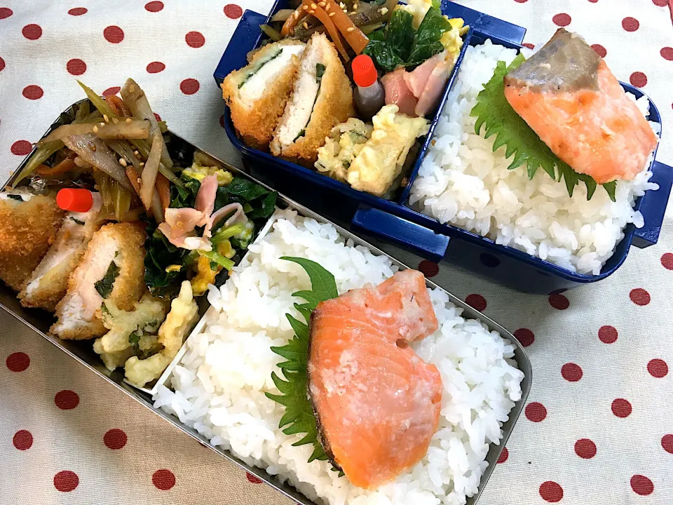 4月15日　週の中日弁当🍱|sakuramochiさん