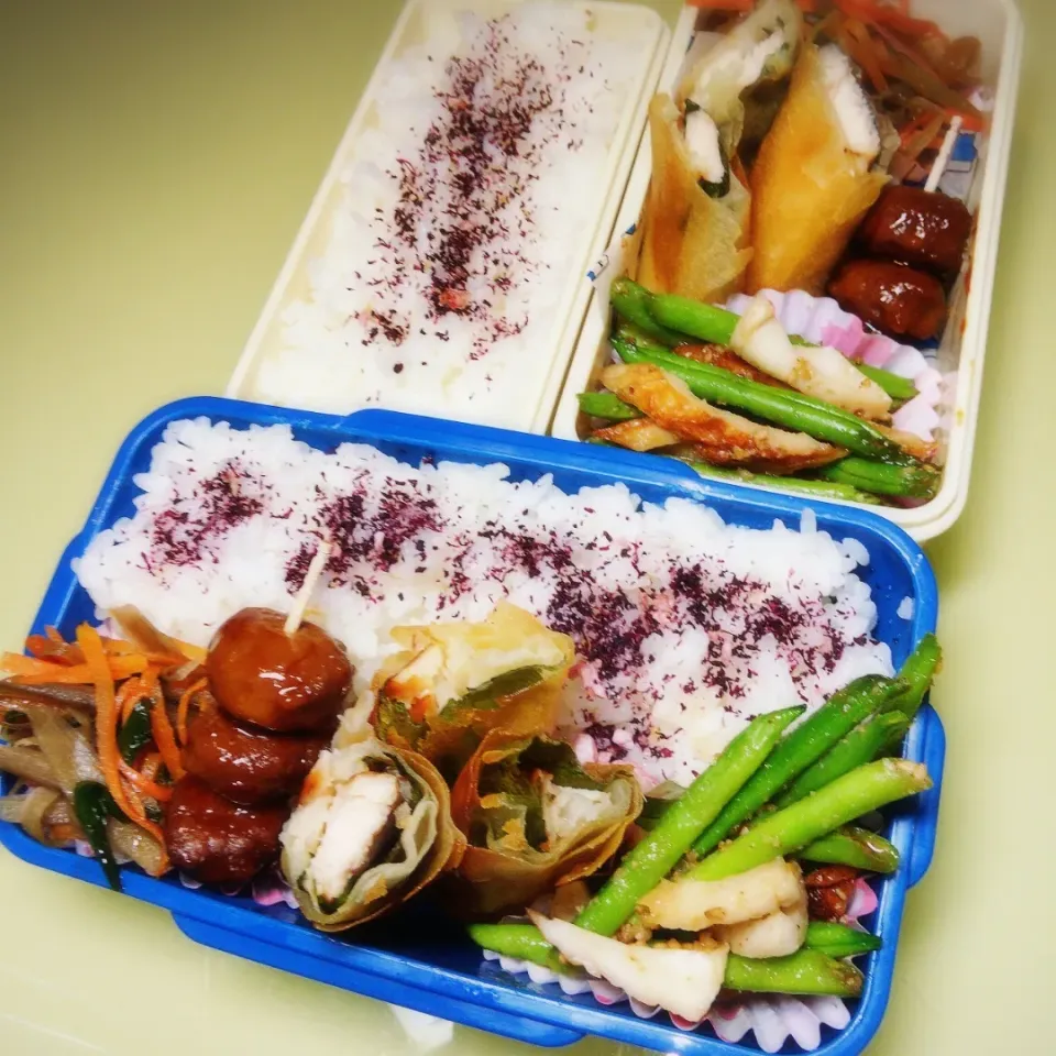 Snapdishの料理写真:4/15 夫婦弁当|けろよんさん