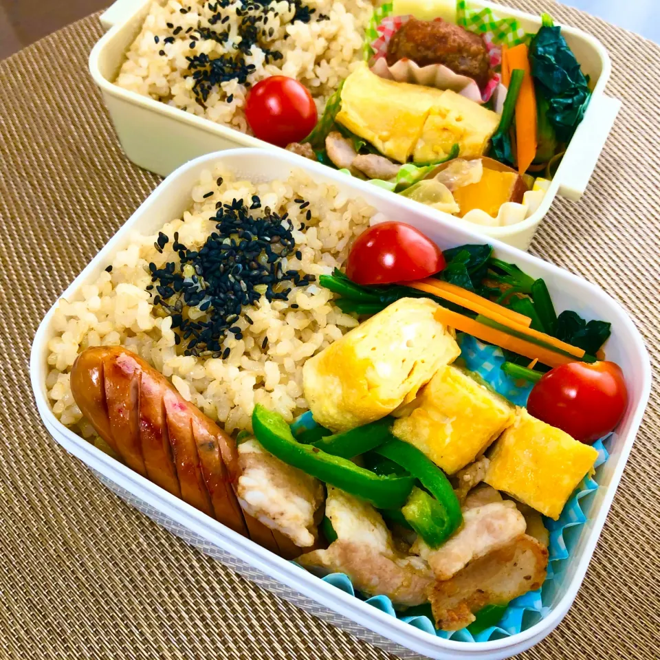 Snapdishの料理写真:0410 お弁当|mierikoさん