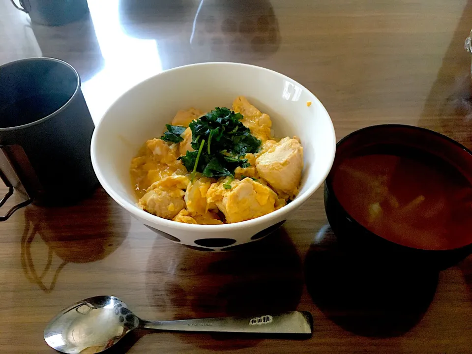 新玉ねぎを使った親子丼|にゃふてんさん