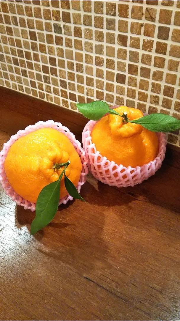 めちゃうまデコポン🍊|きみちさん