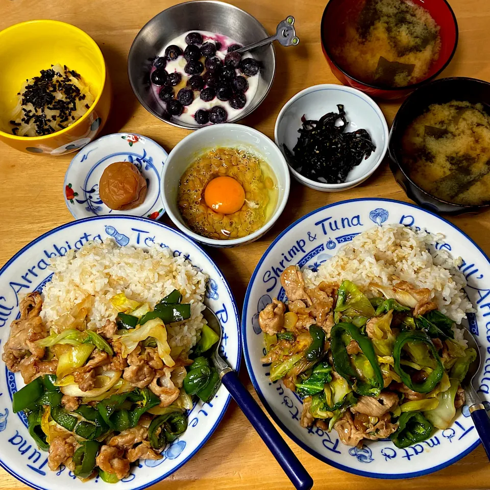 肉野菜炒め丼|Makokoさん