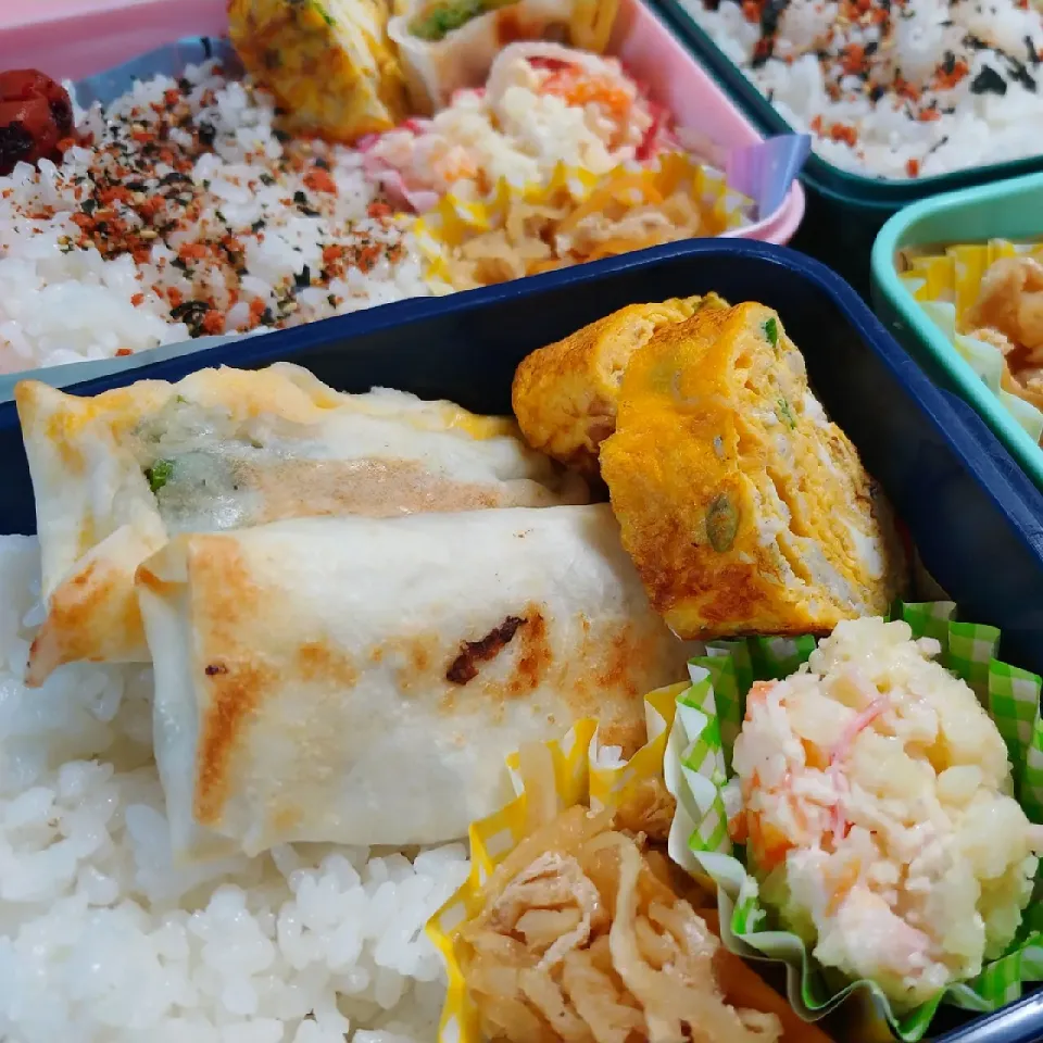 アレンジ春巻き弁当*°|ひなままさん