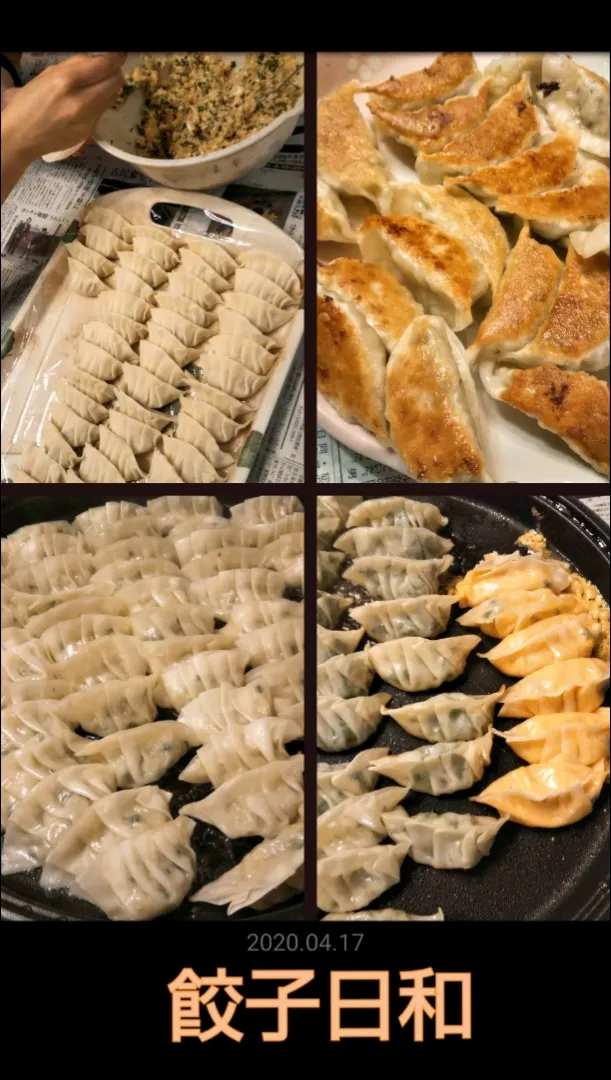 🥟餃子150個作ったど➰🥟|きみちさん