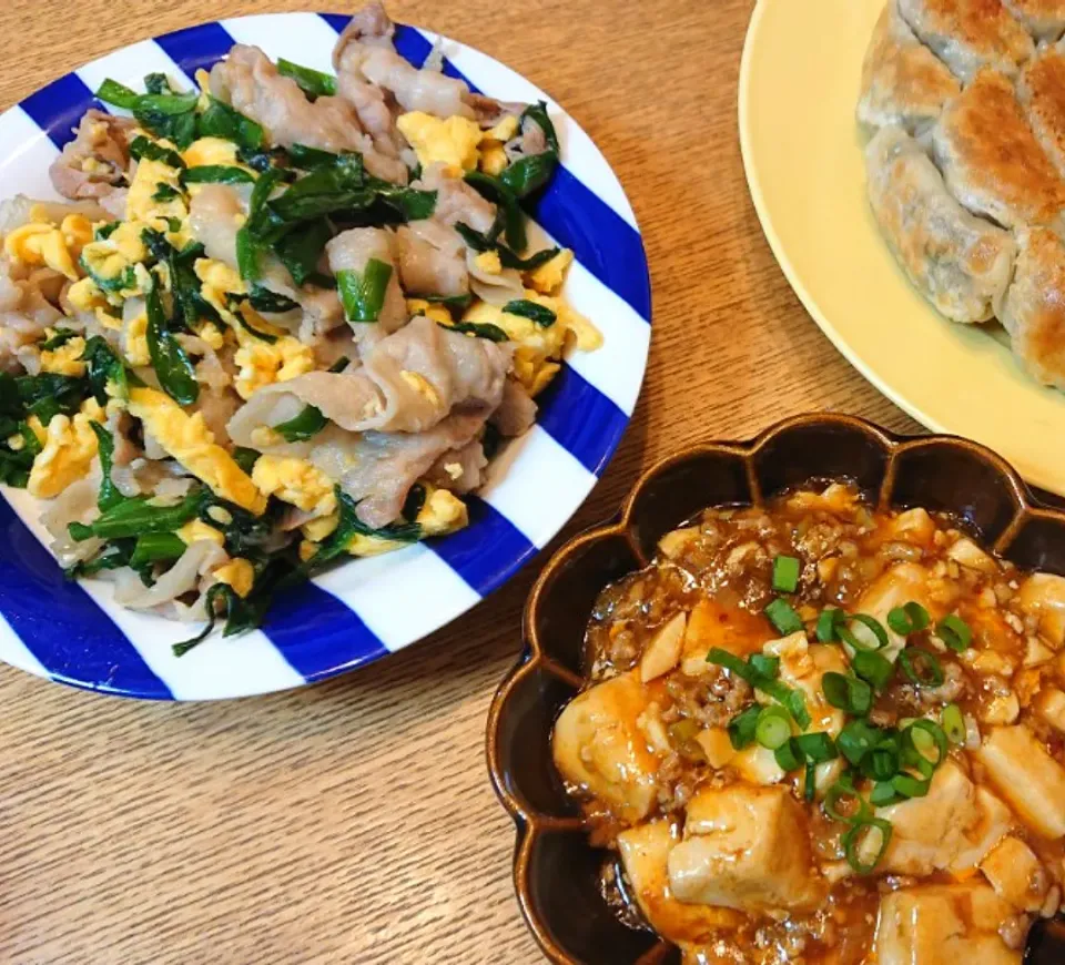 豚ニラ玉子炒め&麻婆豆腐|しほさん