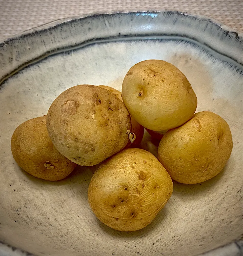 新じゃがの醤油炊き|にゃあ（芸名）さん