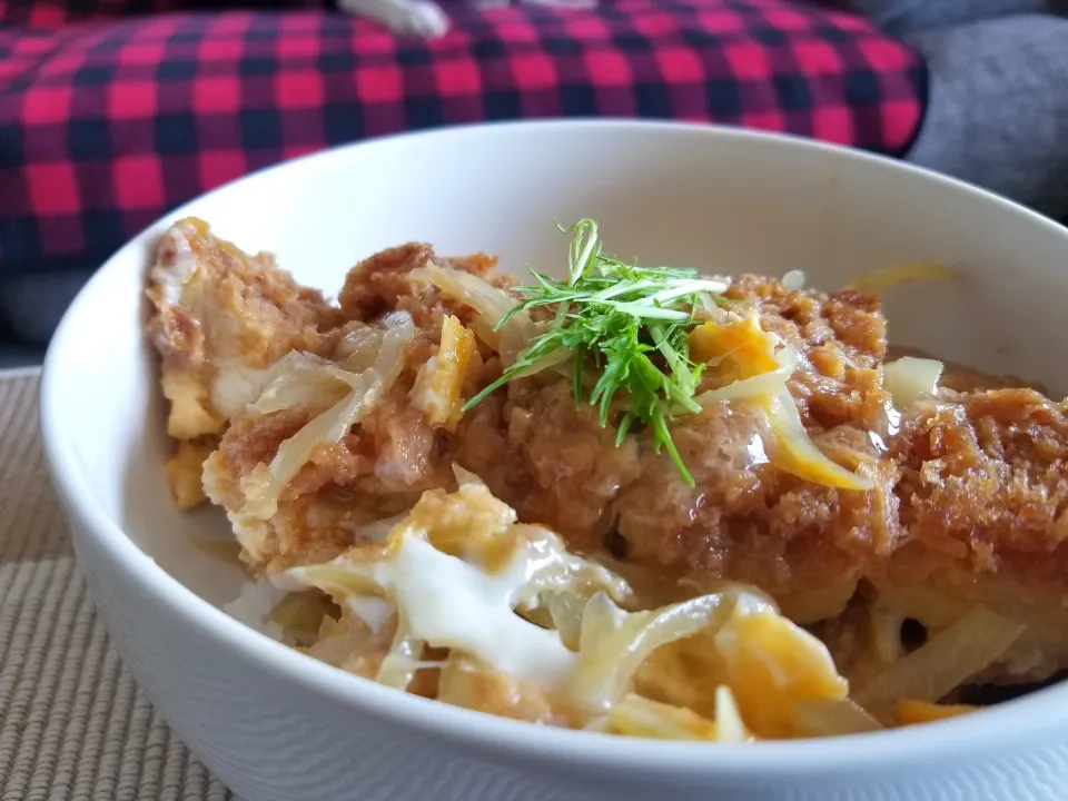 カツ丼
在宅23日目|しあるさん