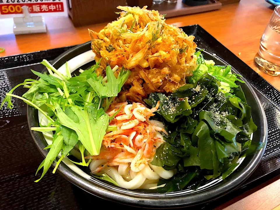 Snapdishの料理写真:桜海老のかき揚げうどん🦐|buhizouさん