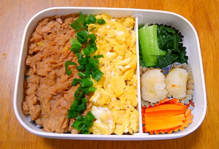 ３月３１日　お弁当|いもこ。さん