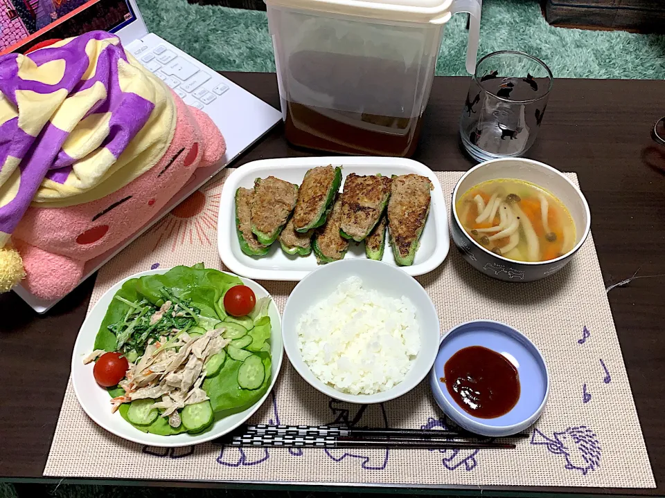 今日の夜ご飯|(ノ◕ω◕)ノ➰(せが)さん