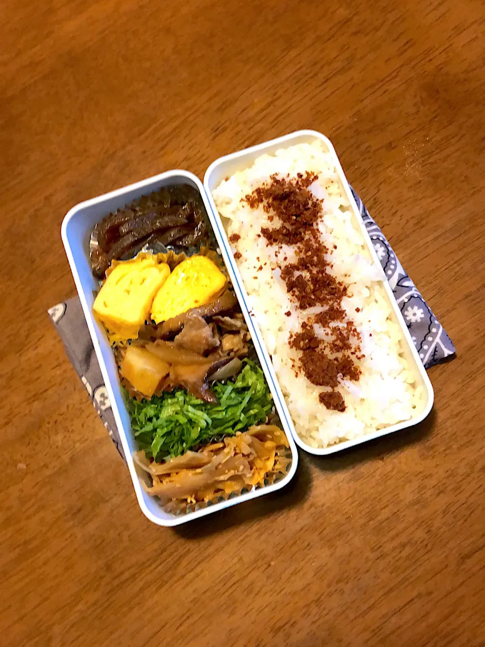 4/20のお弁当|るりさん