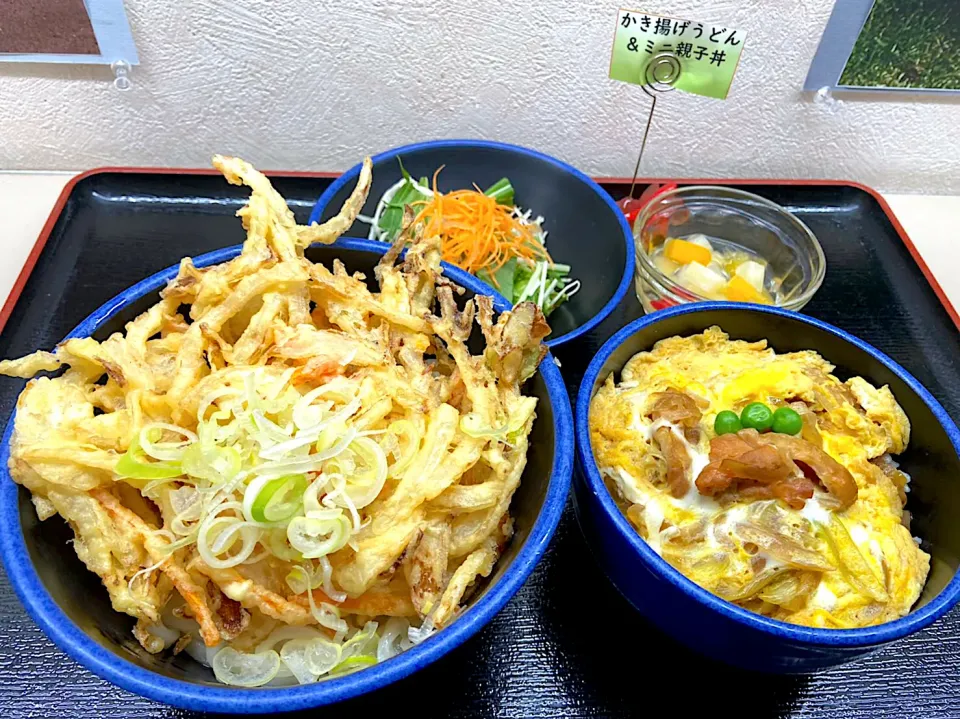 Snapdishの料理写真:かき揚げうどん＆ミニ親子丼セット|nyama1さん