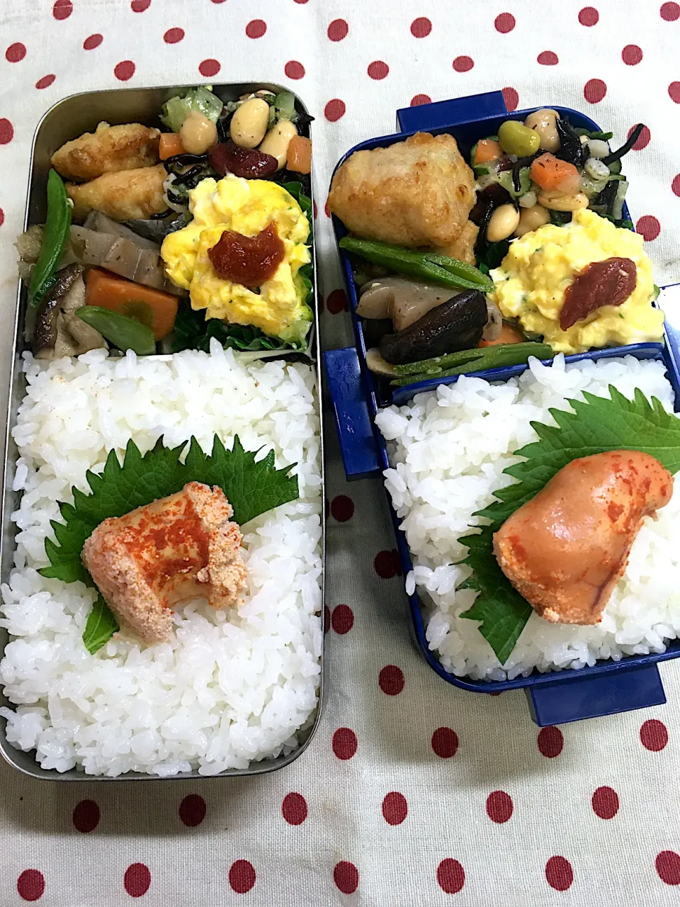 4月21日　今日は快晴弁当🍱|sakuramochiさん