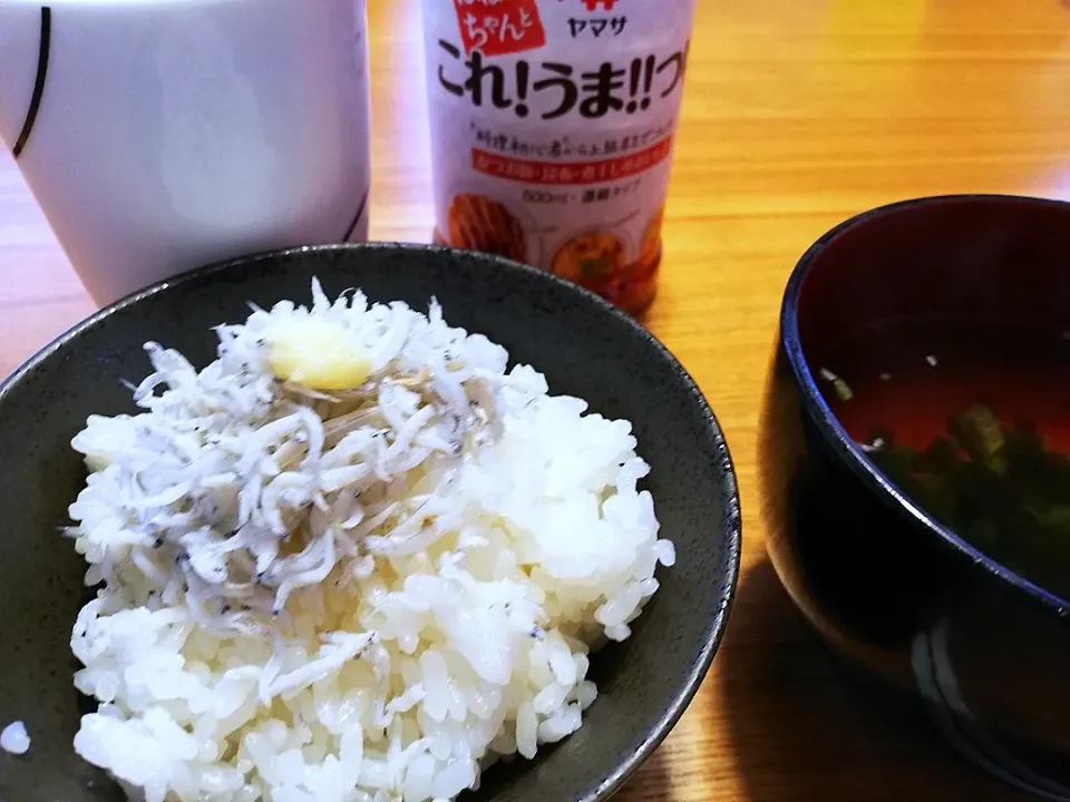 これ！うま！！つゆ　で食す　おろし生姜のしらす丼|pigmegさん