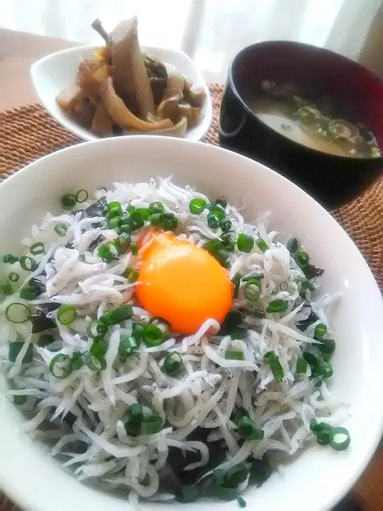 ☆釜揚げシラス丼
☆新タマネギの味噌汁
☆ウドのきんぴら|アイさん