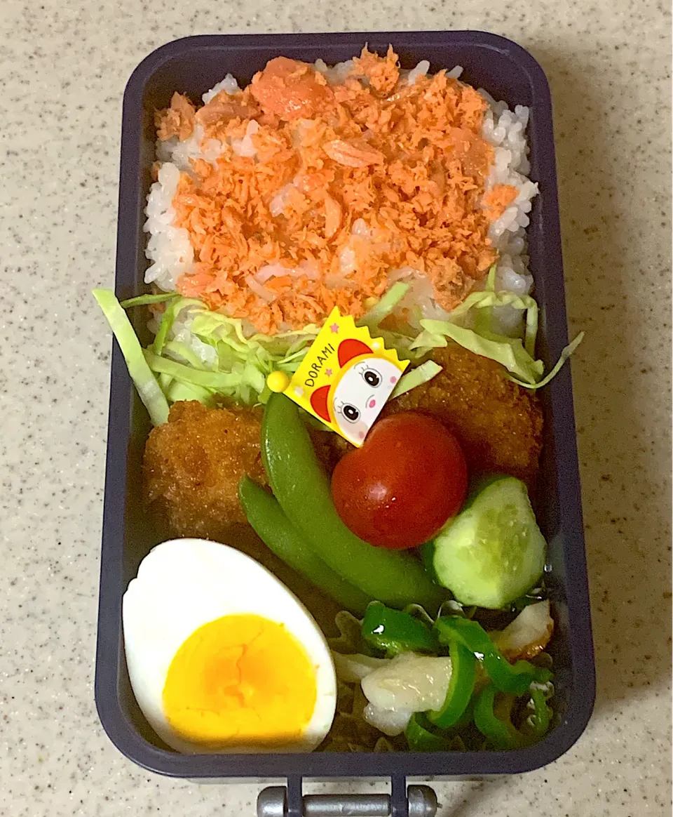 Snapdishの料理写真:甘辛チキンカツ弁当|besさん