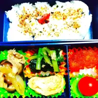 毎日お弁当🍱作り頑張り中✨
健康にも気を遣って頑張ってます！
投稿するとモチベーションも上がりますねあがりますね⤴️

色んな人のレシピも知りたいので勉強させてくださーい😆|まるまるさん