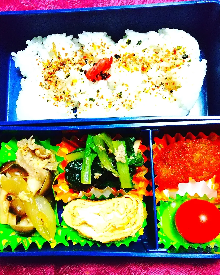 毎日お弁当🍱作り頑張り中✨
健康にも気を遣って頑張ってます！
投稿するとモチベーションも上がりますねあがりますね⤴️

色んな人のレシピも知りたいので勉強させてくださーい😆|まるまるさん