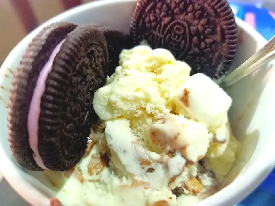 Vanilla Ice Cream wtih Oreo|The Wretched Chefさん