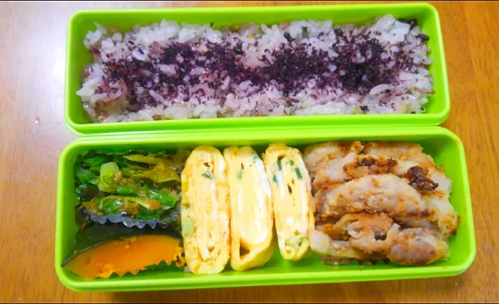 ４月３日　お弁当|いもこ。さん