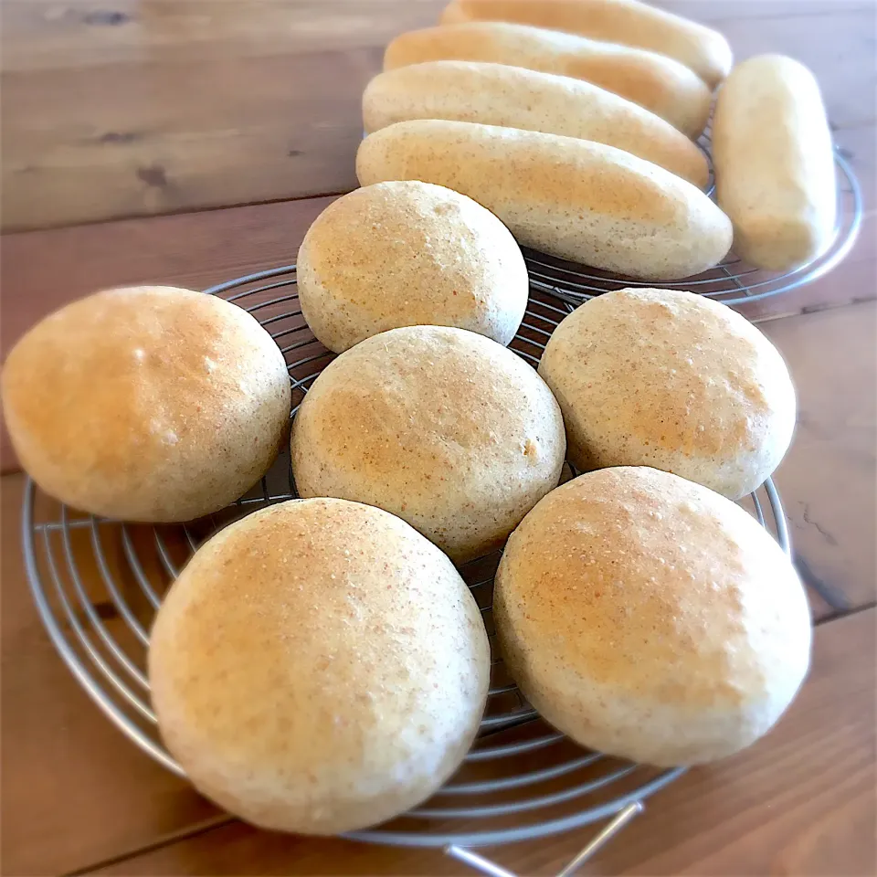 バーガーバンズとドッグバンズ♪|ましてさん