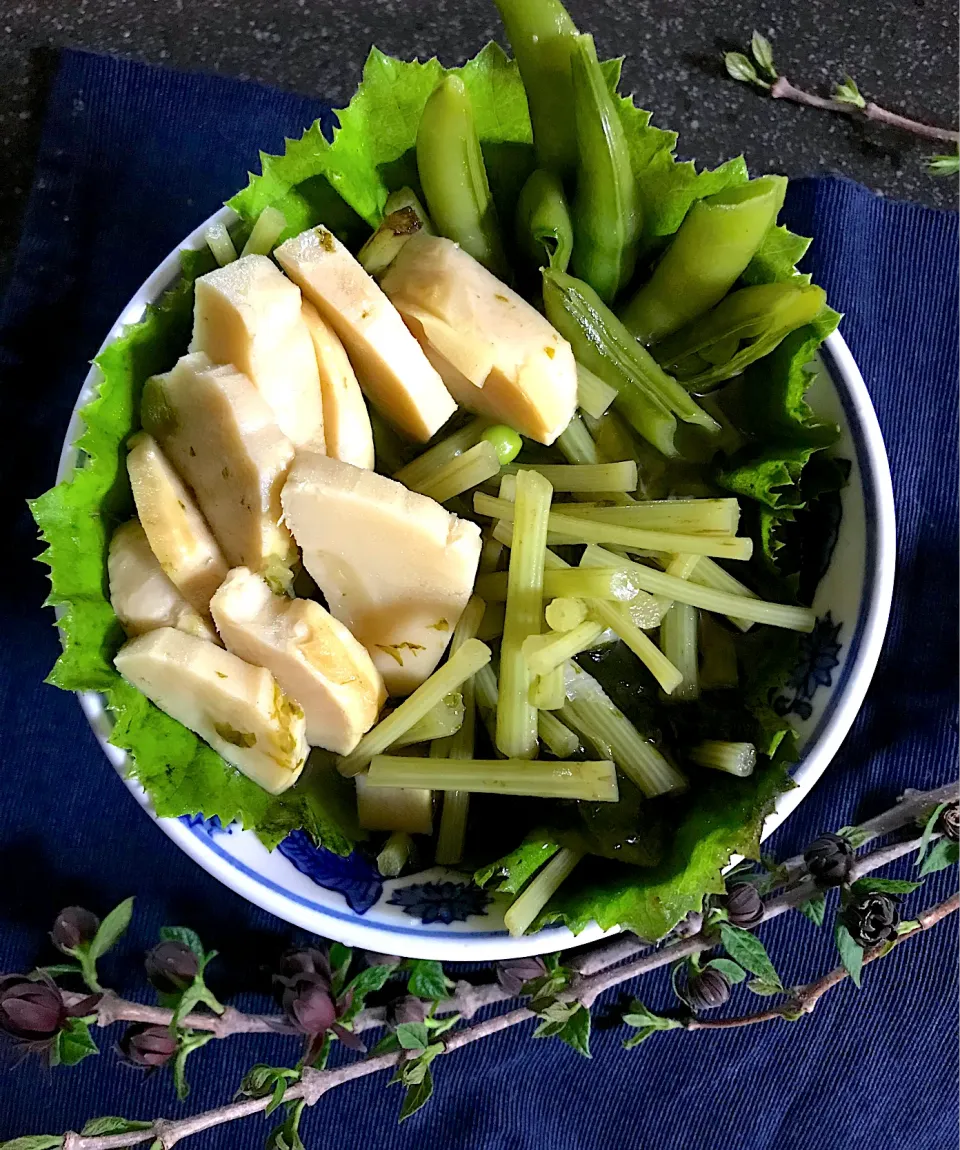 Snapdishの料理写真:筍と蕗の煮物|シュトママさん