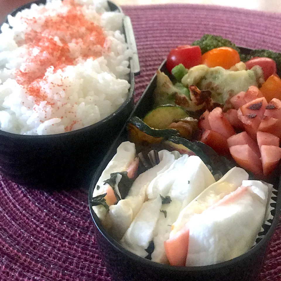 今日のお弁当🍱|mokoさん