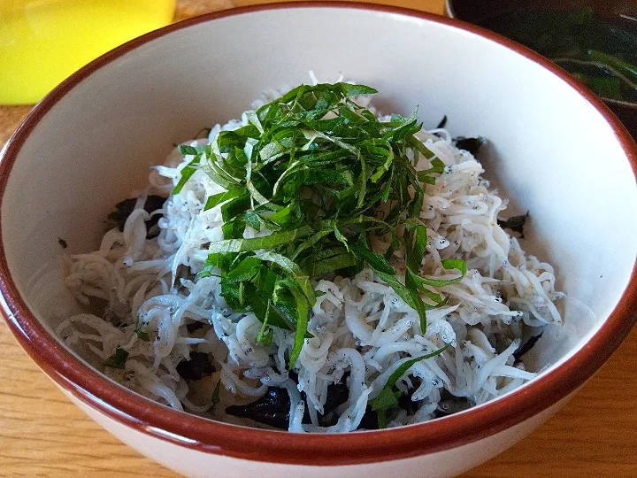 ✽しらす丼✽|＊抹茶＊さん