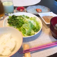 Snapdishの料理写真:4/24ダイエット朝ごはん！|mamiさん