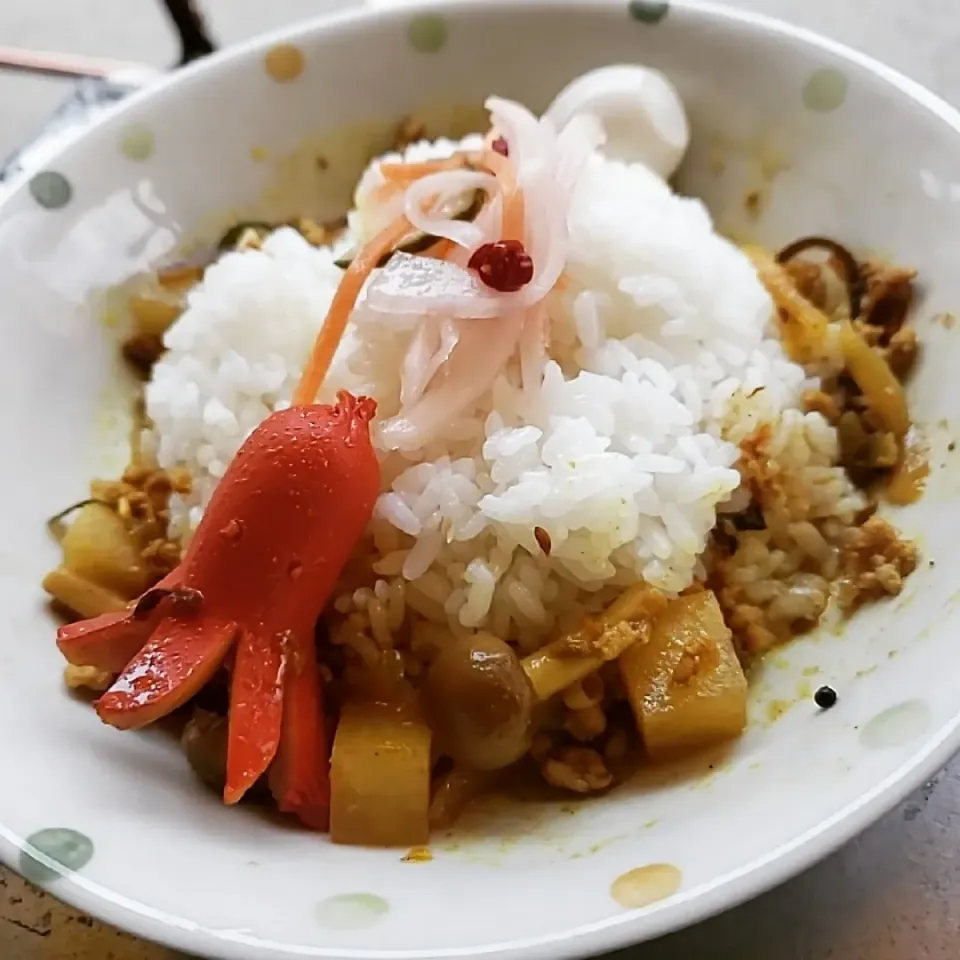 大根とシメジのポークキーマカレーinタコさんウインナー🐙|ふじわらたくやさん