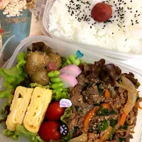 プルコギ弁当＊備忘録|あやなさん