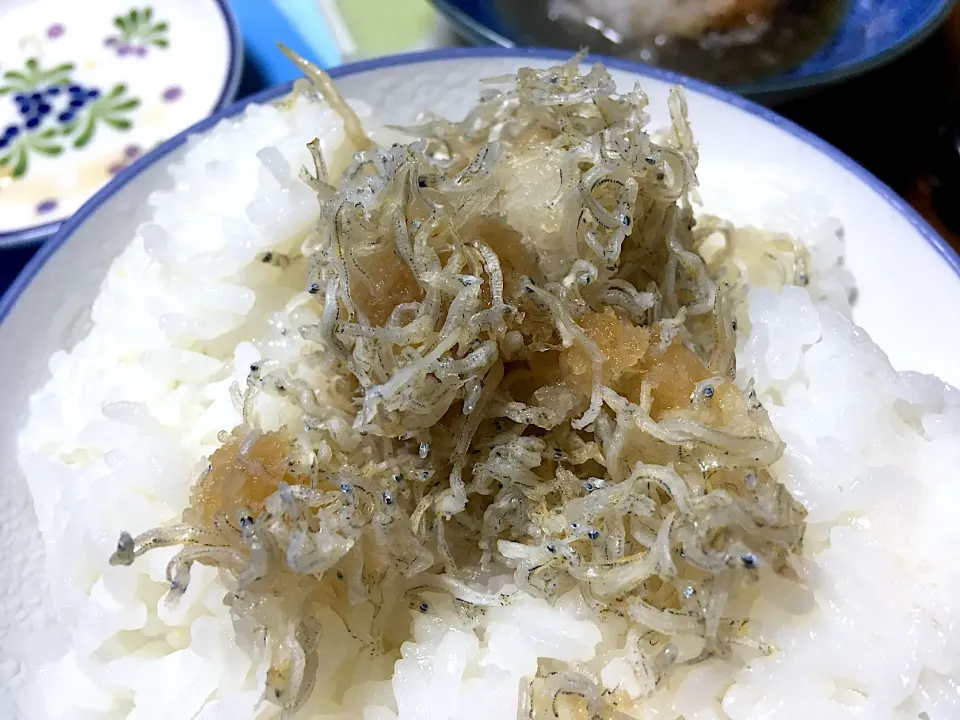 ちりめんご飯|はっちぃさん