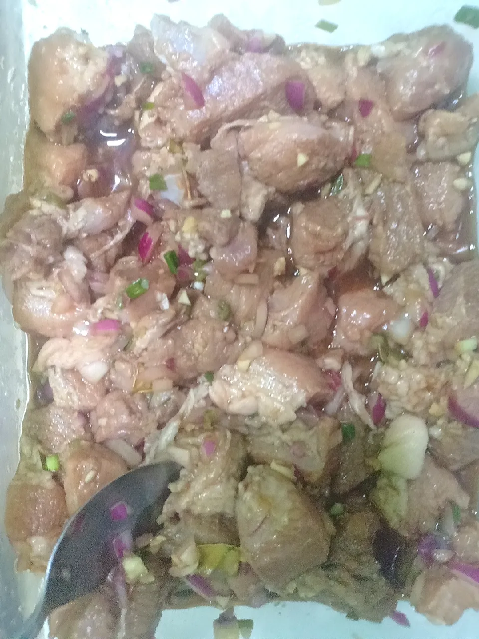 Pork marieneted W/Pineapple TIDBITS|Prince Jhon Bandolさん