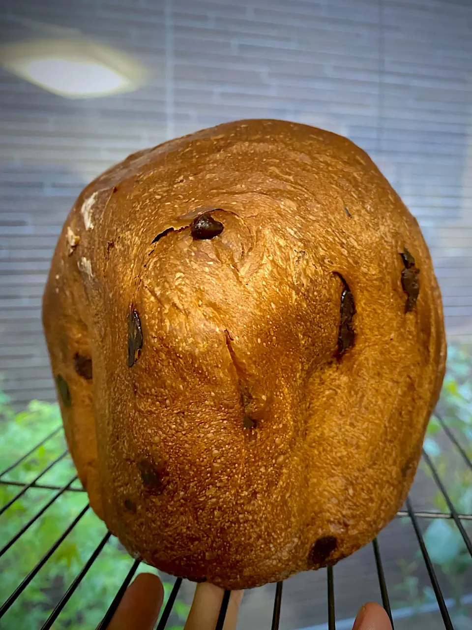 Snapdishの料理写真:ＨＢでお家カフェ嵜本の『極生ショコラ食パン』|1614さん