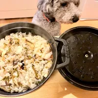 わらびとゼンマイの炊き込みご飯|saimさん