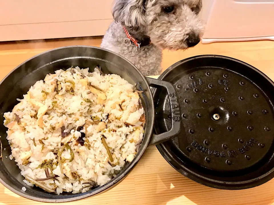 わらびとゼンマイの炊き込みご飯|saimさん