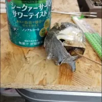 Snapdishの料理写真:磯やき|moricchiさん