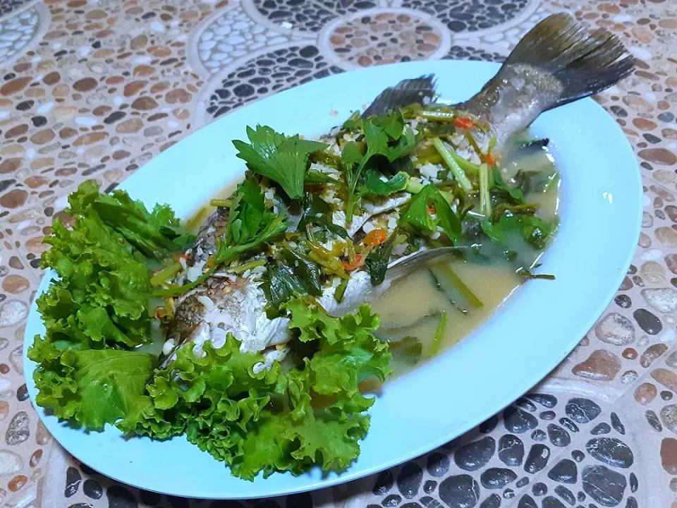 Sea bass in lemon soup|Thanaphat Sawadlonさん