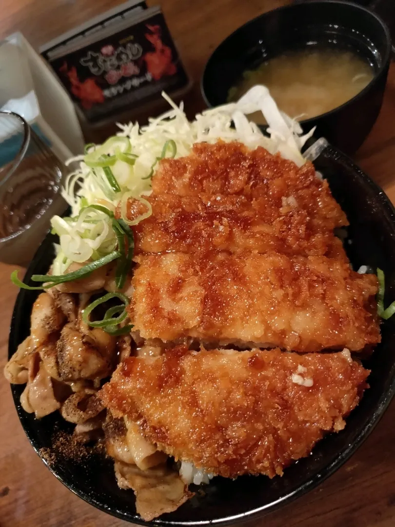 タレカツと肉の合盛り丼|osakana555さん