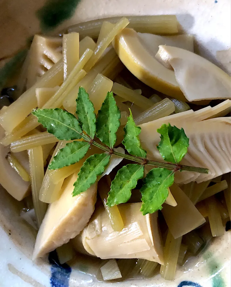 筍·蕗の 春の定番料理|ブンタさん