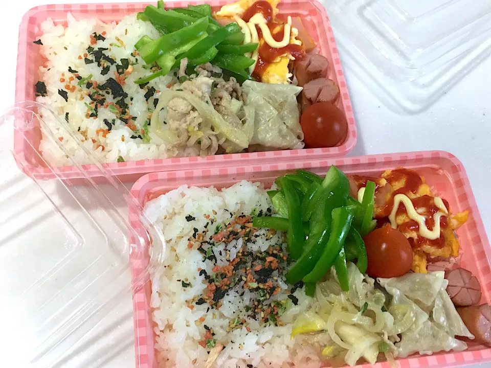 本日のお弁当🍱|hyhykloveさん