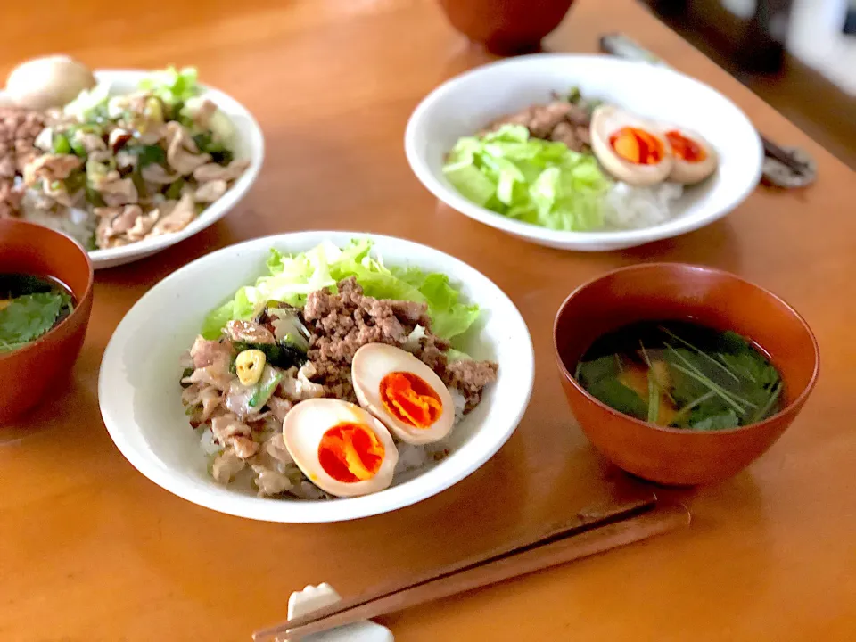 そぼろ&豚バラねぎ塩丼|sachi ＊さん