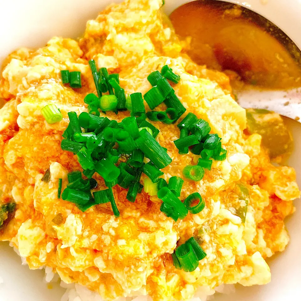 親子麻婆豆腐丼　🐓🥚🌶✨|yugeさん