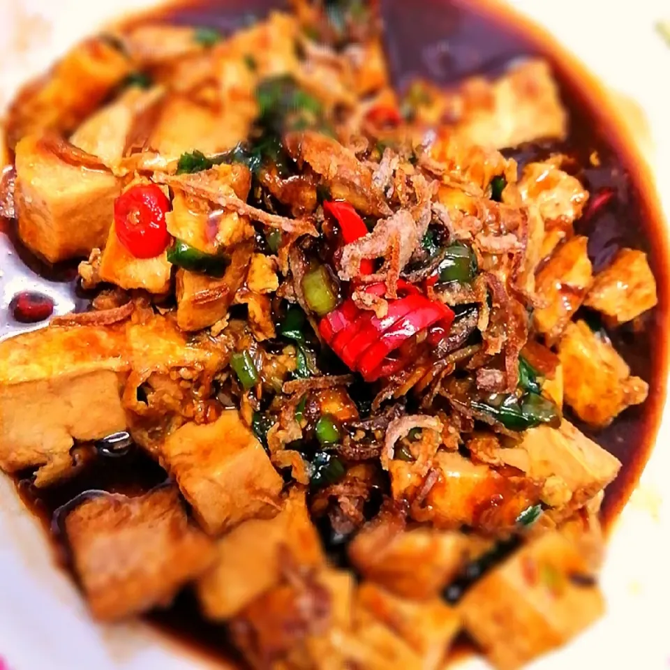 Spicy Oyster Tofu|Cindai's Diaryさん