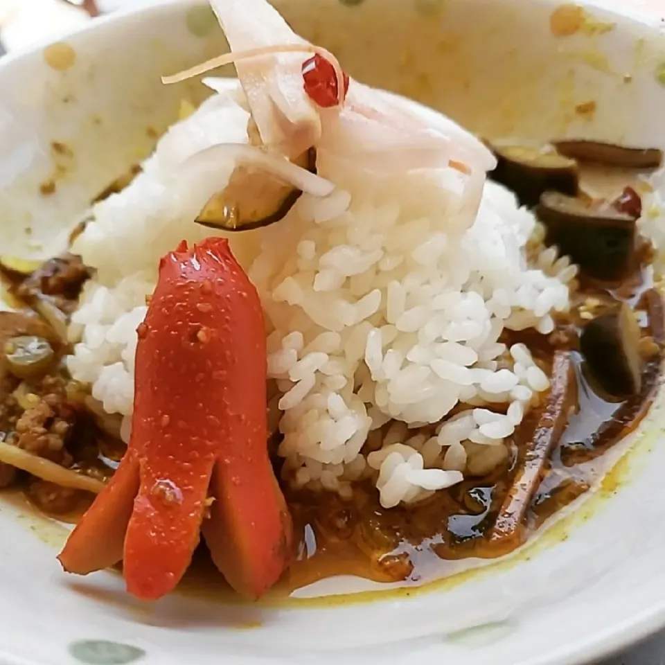 ゴボウと茄子のポークキーマカレーinタコさんウインナー🐙|ふじわらたくやさん