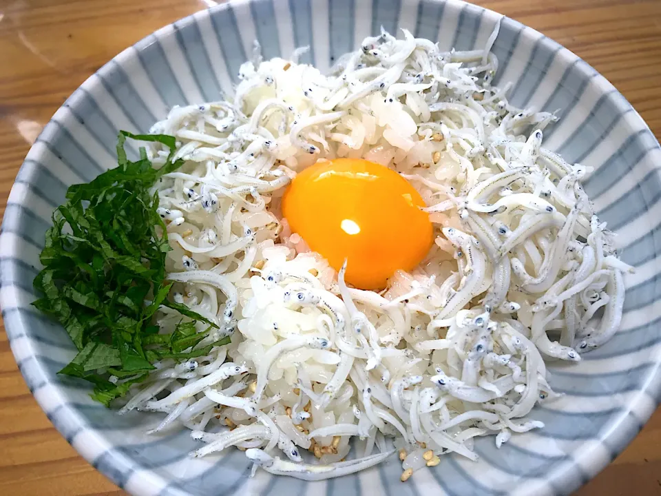 釜揚げしらす丼🐟|buhizouさん